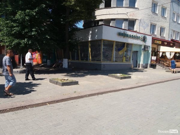 Луцька «пішохідна» залишиться без дерев… поки що. ФОТО