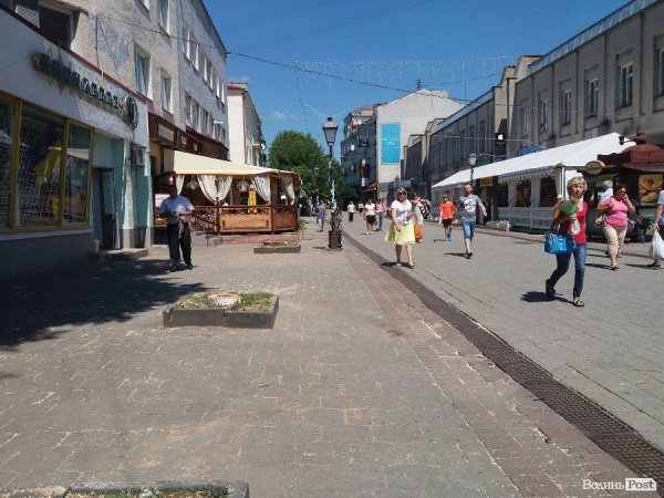 Луцька «пішохідна» залишиться без дерев… поки що. ФОТО