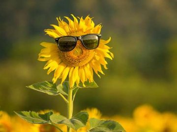 Погода в Луцьку та Волинській області на четвер, 2 липня