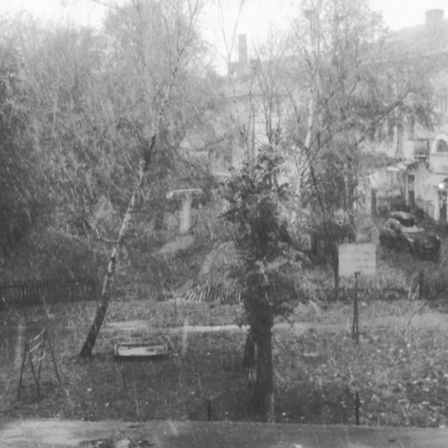 У Ковелі випав сніг