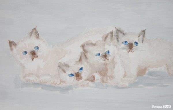 У луцькій мистецькій галереї – сотні дитячих малюнків. ФОТО 