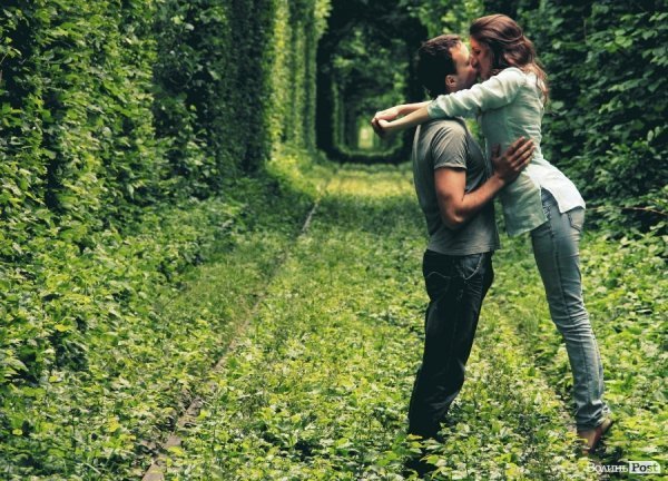 Автор - Оксана Цимбалюк