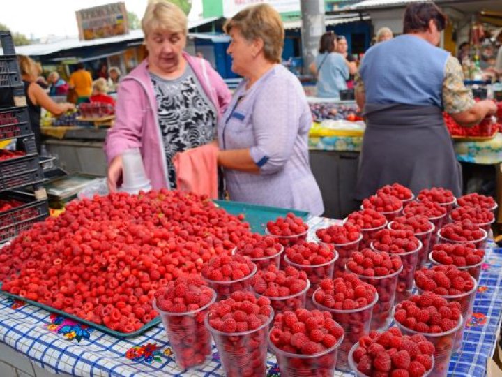 Ціни на малину б'ють рекорди: чому ягода цього року така дорога та як її збирають