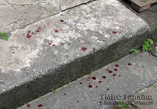 Викрадення дитини на Волині замовив її біологічний батько-іноземець. ФОТО. ВІДЕО