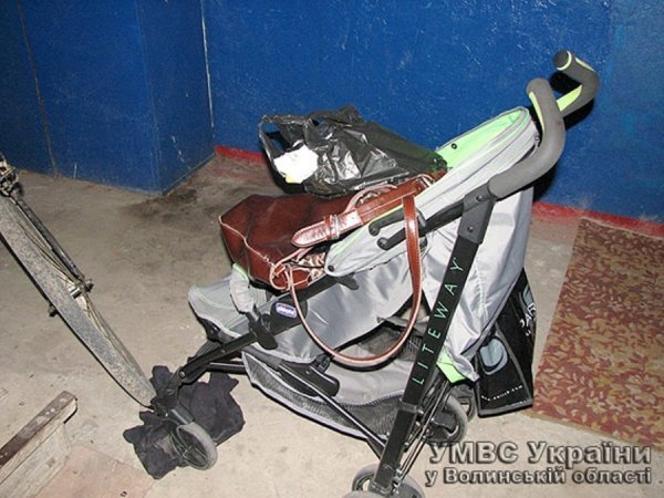 Викрадення дитини на Волині замовив її біологічний батько-іноземець. ФОТО. ВІДЕО