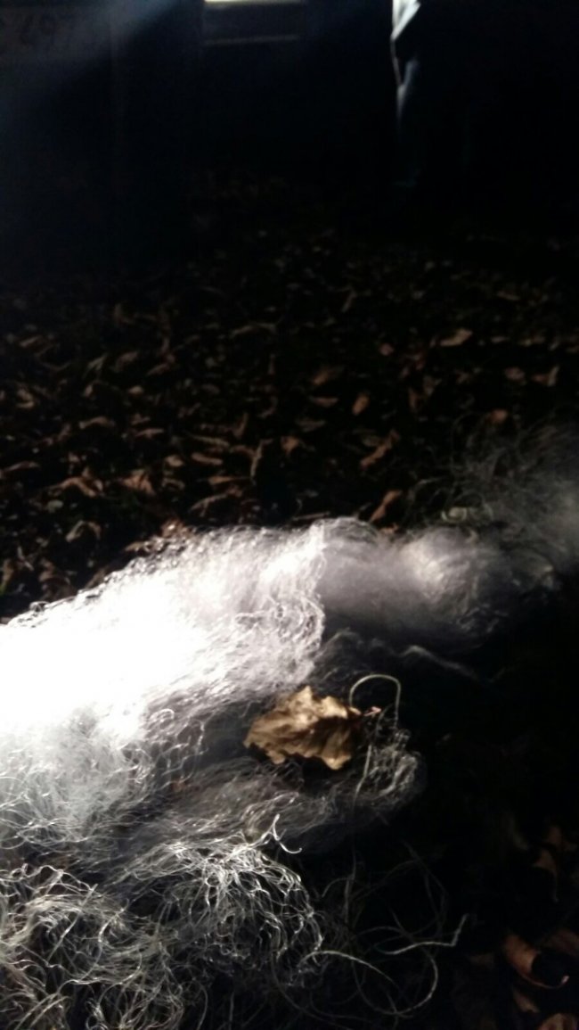 Двоє волинян-браконьєрів ловили рибу сіткою з човна. ФОТО