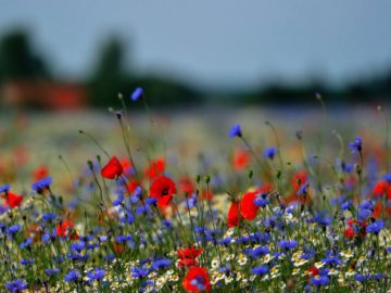 3 серпня – яке сьогодні свято та що не можна робити в цей день