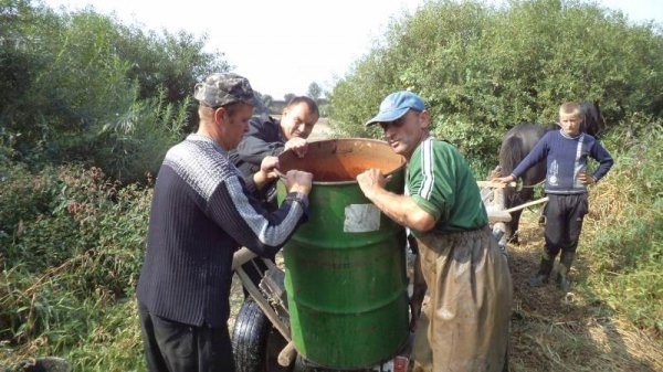 Як на Волині рятували рибу. ФОТО