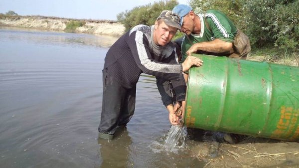 Як на Волині рятували рибу. ФОТО