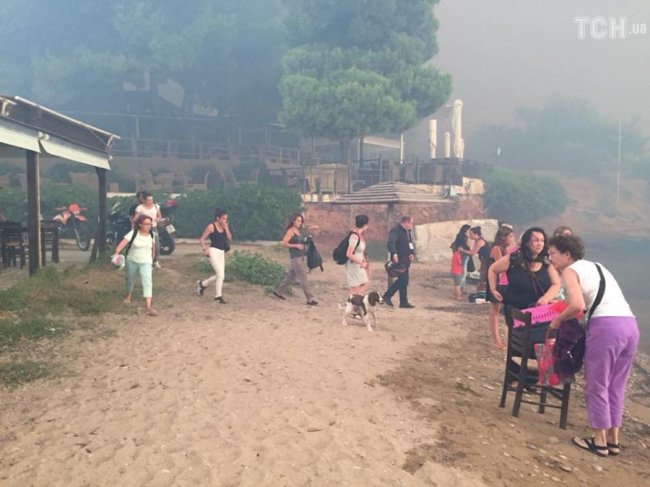 У пожежах у Греції вже загинуло більше 90 людей