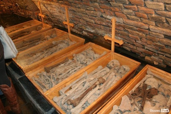 У Луцьку відкрили старовинні поховання у підземеллі церкви. ФОТО