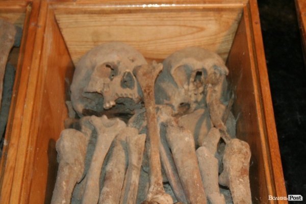 У Луцьку відкрили старовинні поховання у підземеллі церкви. ФОТО