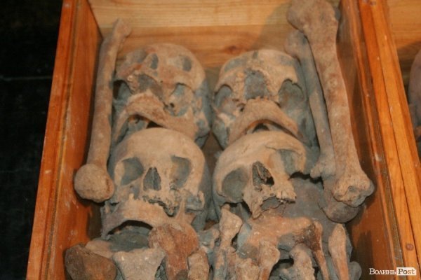 У Луцьку відкрили старовинні поховання у підземеллі церкви. ФОТО