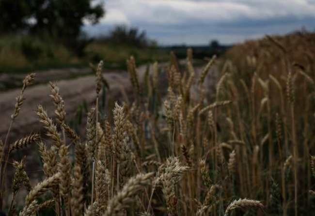 Неймовірні краєвиди природи на знімках волинської волонтерки