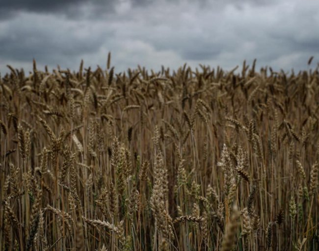 Неймовірні краєвиди природи на знімках волинської волонтерки