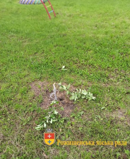 У місті на Волині вандали понищили молоді дерева та майданчик на території дитсадка