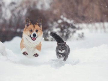 Погода на завтра, 10 лютого, у Луцьку та Волинській області