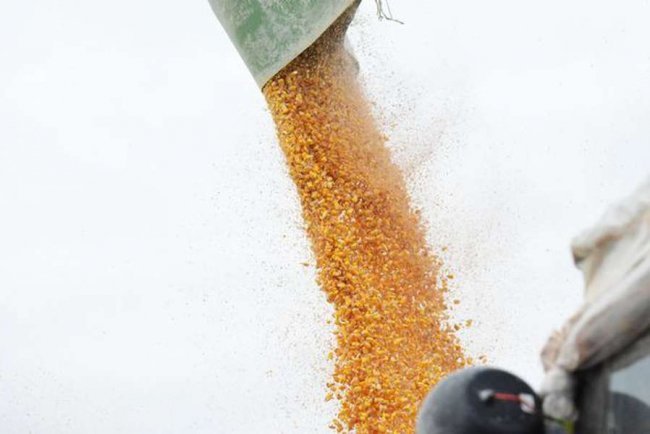 Волинські аграрії отримали мобільні сховища для зерна. ФОТО