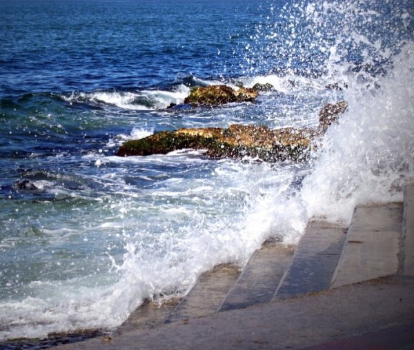 Фотовиставка Катерини Мазурець