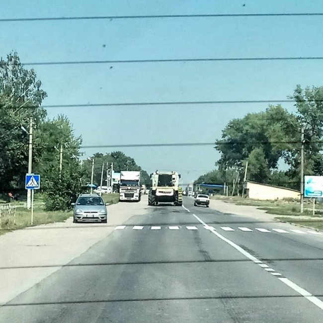 Як луцькі ведуча та режисерка їздили автостопом у Чернівці