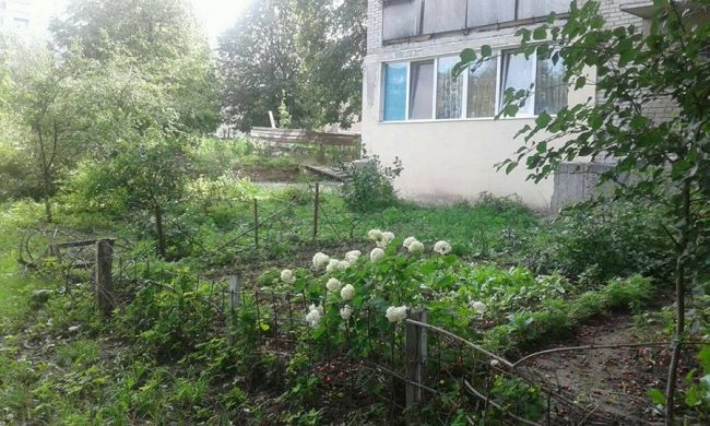 Муніципали зносять паркани та обмежувачі руху у Луцьку. ФОТО