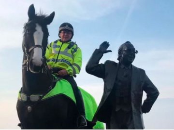 В Англії поліцейський кінь загинув через футбольних фанатів