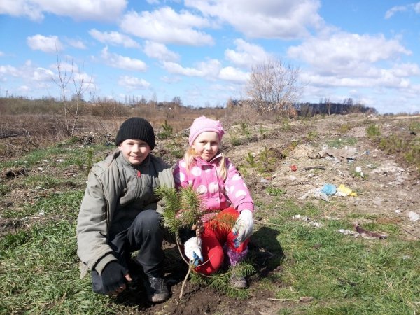 Понад 600 хвойних дерев висадили юніори з депутатами у волинському селі. ФОТО