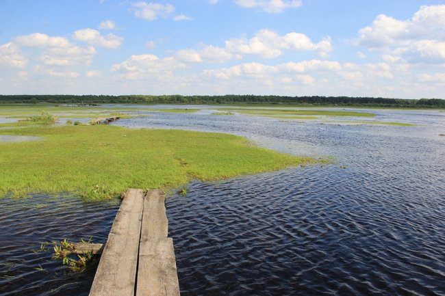Волинський фотограф показав красу «високої води» річки Стохід. ФОТО