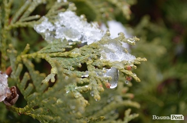 Луцьк засипає снігом. ФОТО