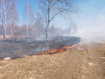 На Волині за кілька днів згоріло понад 1000 га площі 
