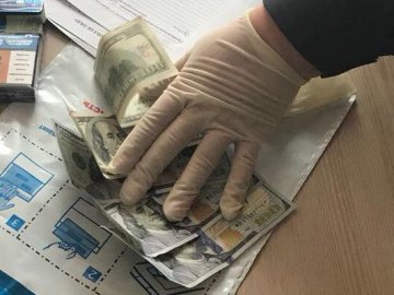 На хабарі спіймали чиновницю волинської ОТГ