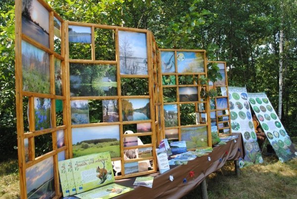 Турнір косарів на Волині. ФОТО. ВІДЕО