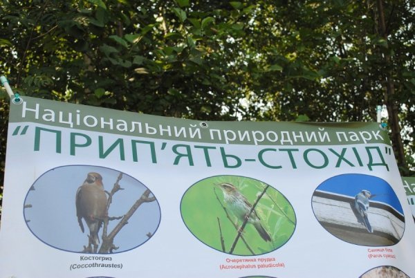 Турнір косарів на Волині. ФОТО. ВІДЕО