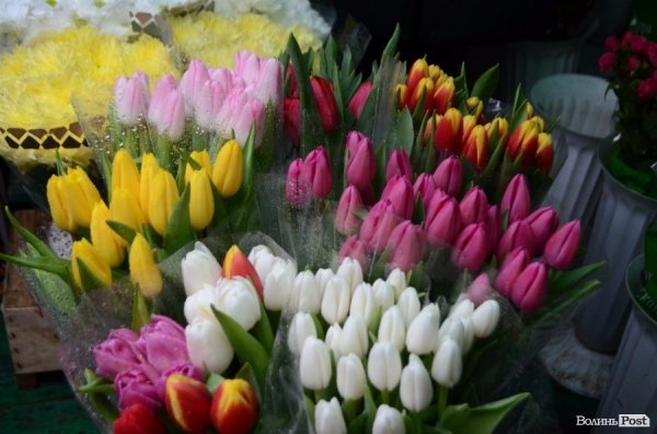 «Квіти - це духовність»: у центрі Луцька сварилися через ринок