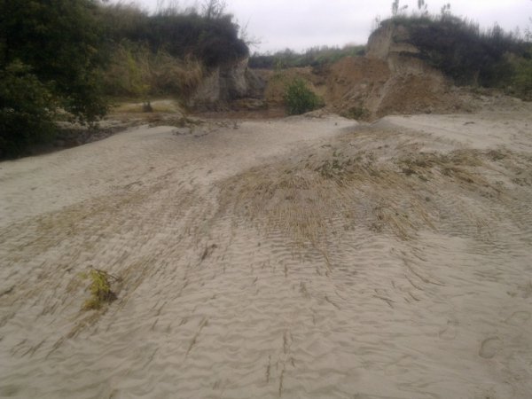 НП на Волині: нечистоти з відстійника затопили територію. ФОТО