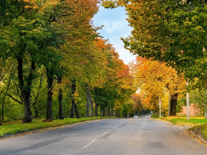 Бабине літо чи осінні дощі: якою буде погода на Волині цього тижня
