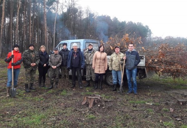 «Дерева миру»  з’явилися на околиці Ківерців