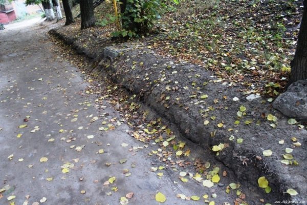 Мешканці багатоповерхівок у центрі Луцька скаржаться на розруху в дворі. ФОТО