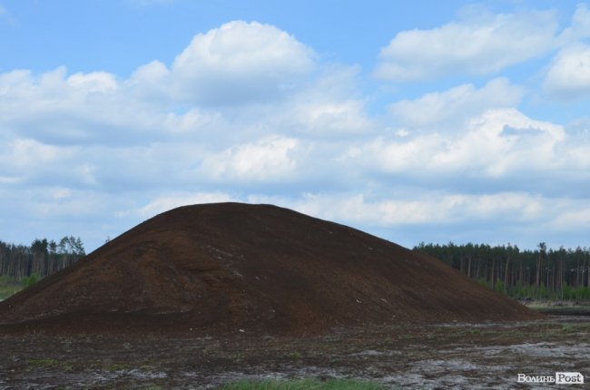 Не бурштином єдиним: чому Савченко їздив у Маневичі