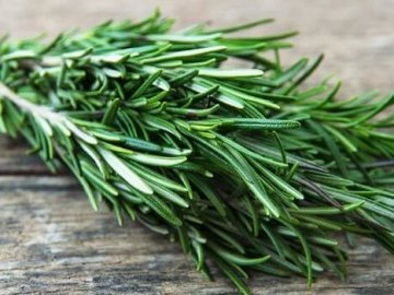 Вчені вважають, що розмарин може допомогти проти COVID-19