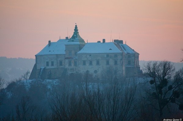 Наймістичніші замки Західної України. Моторошні історії кам'яних стін та загублених життів. ФОТО