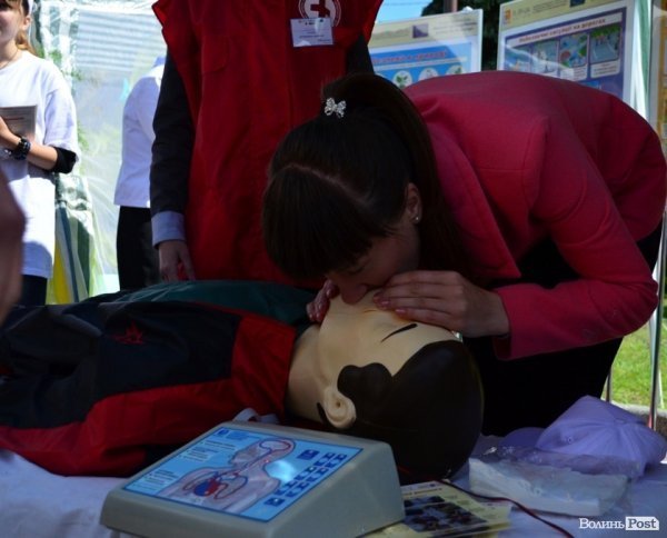 У центрі Луцька – виставка талантів зі всієї області. ФОТО 