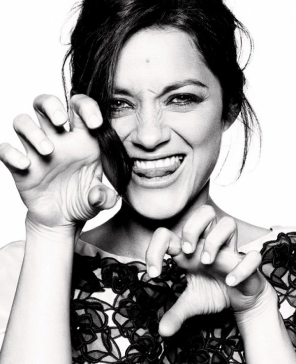 Заради кого Бред Піт може кинути Джолі. ФОТО