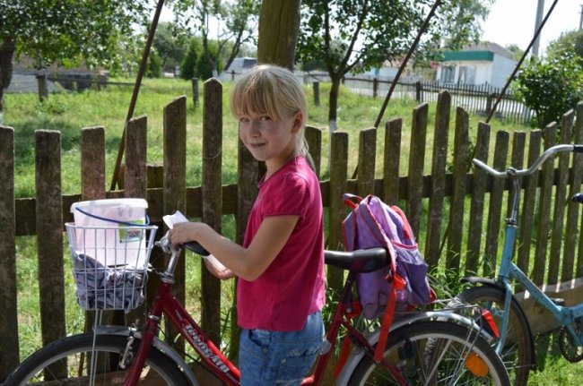 Рекордного збору чорниці на Волині не чекають