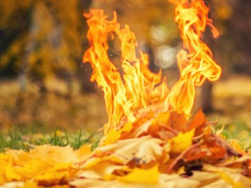 Спалювання сухого листя і трави: як вберегтися від токсичного диму