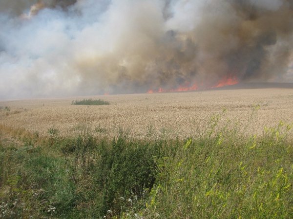 Волинь у вогні. ФОТО