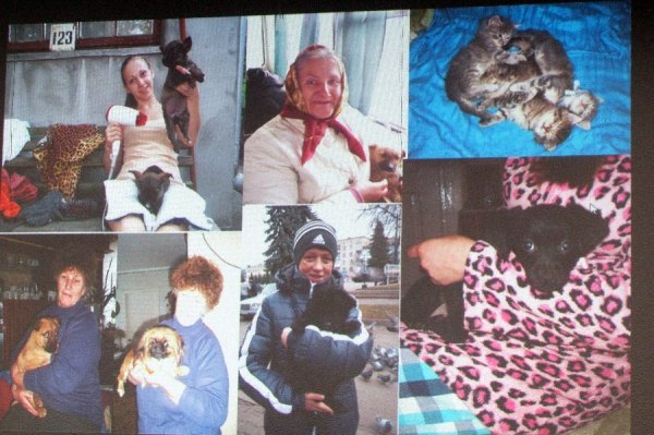 У Володимирі-Волинському будуватимуть притулок для тварин. ФОТО