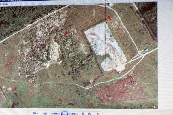 У Володимирі-Волинському будуватимуть притулок для тварин. ФОТО