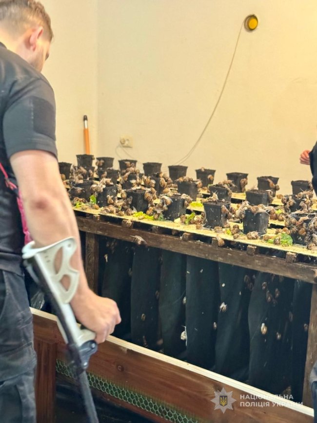 Поранені правоохоронці на Волині відвідали равликову екоферму. ФОТО