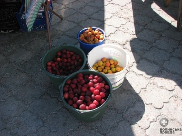 У Луцьку ‒ сільськогосподарський ярмарок